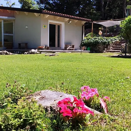 Memento Bed and Breakfast