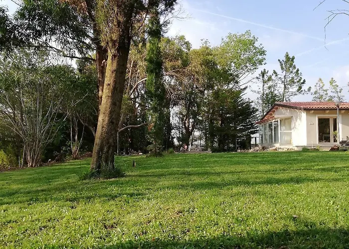 Memento Oda ve Kahvaltı Ossi