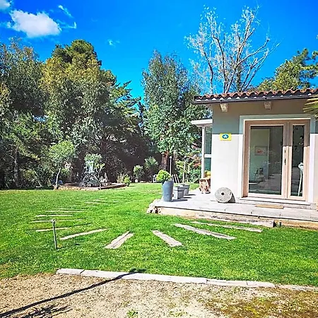 Memento Bed & Breakfast Ossi